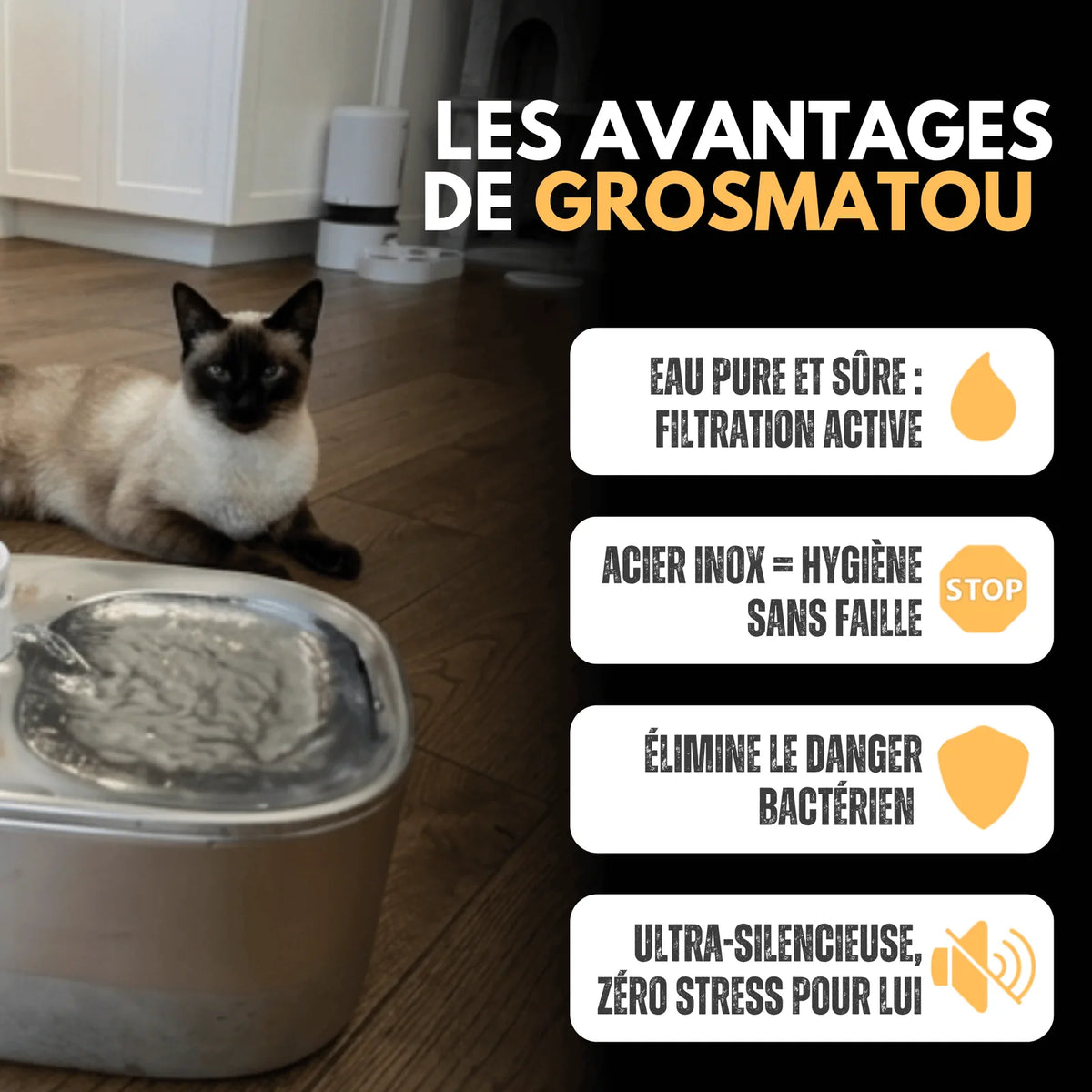 Fontaine à Eau Sans Fil en Inox